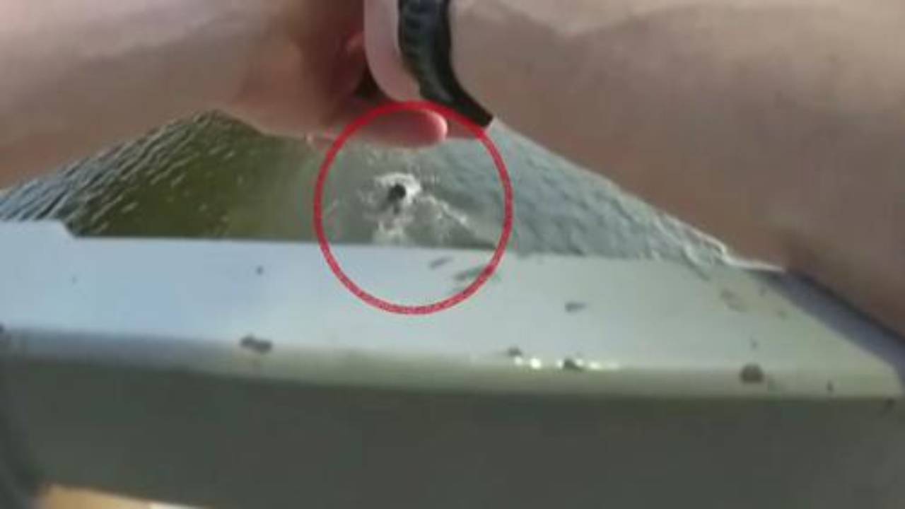 'No vamos a saltar por ti'; policías niegan ayuda a hombre que murió ahogado en un lago
