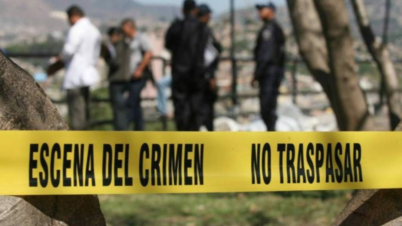 Foros HRN-TSi: Expertos coinciden en construir alianza entre Estado, gobierno y sociedad para combatir la criminalidad