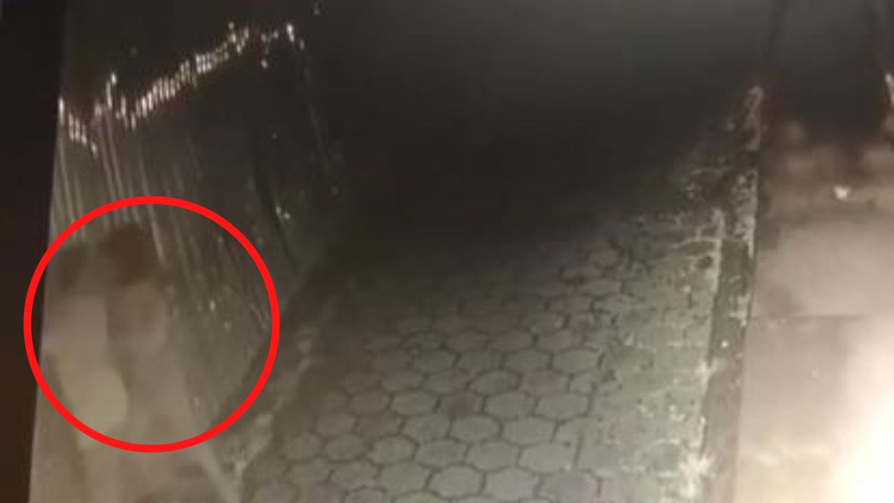 Captan momento cuando hombre ataca con un machete a su supuesta pareja