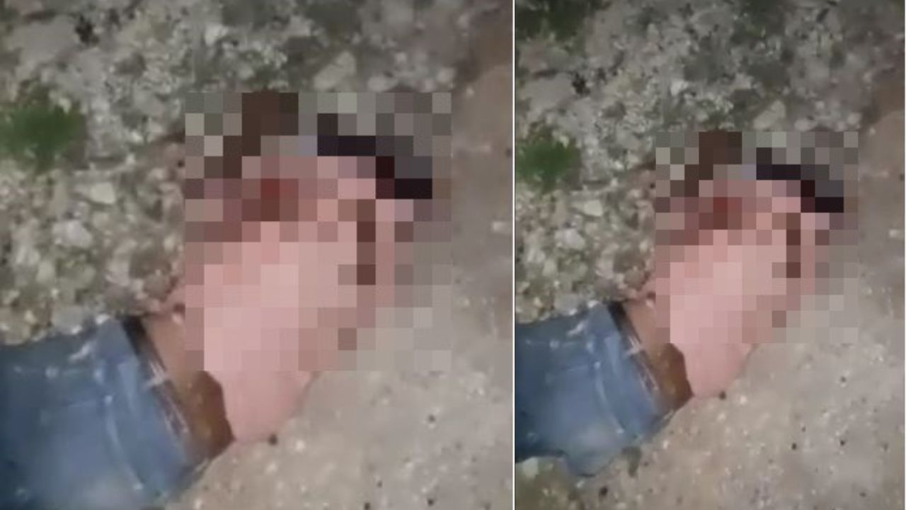 Como 'perros asesinos' describen testigos a animales que atacaron a otro hondureño