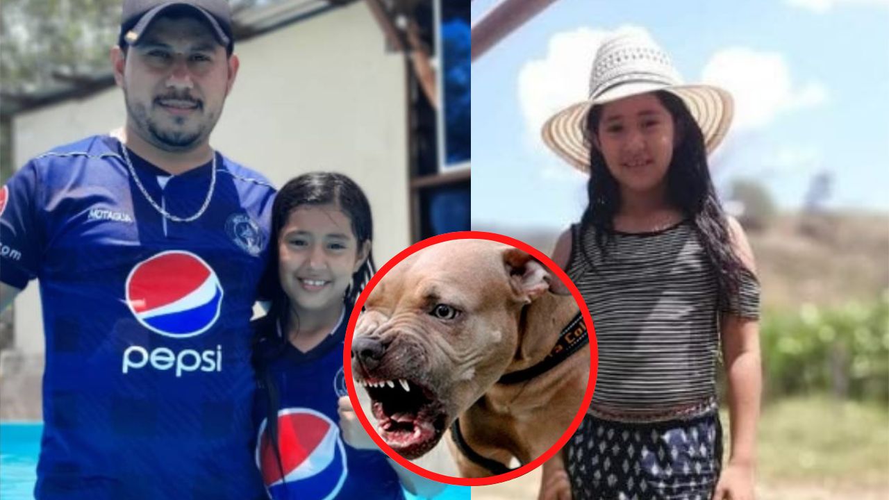 Papá de niña hondureña muerta por  ataque pitbull asegura que el animal estaba endemoniado: 'Lo maté y revivió'