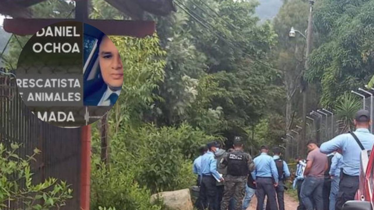 Jauría de perros no habría matado a hondureño en Valle de Ángeles, dice rescatista de animales