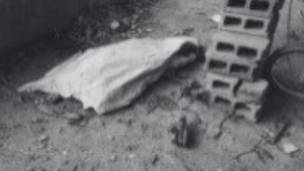 Imagen de cuerpo de nota