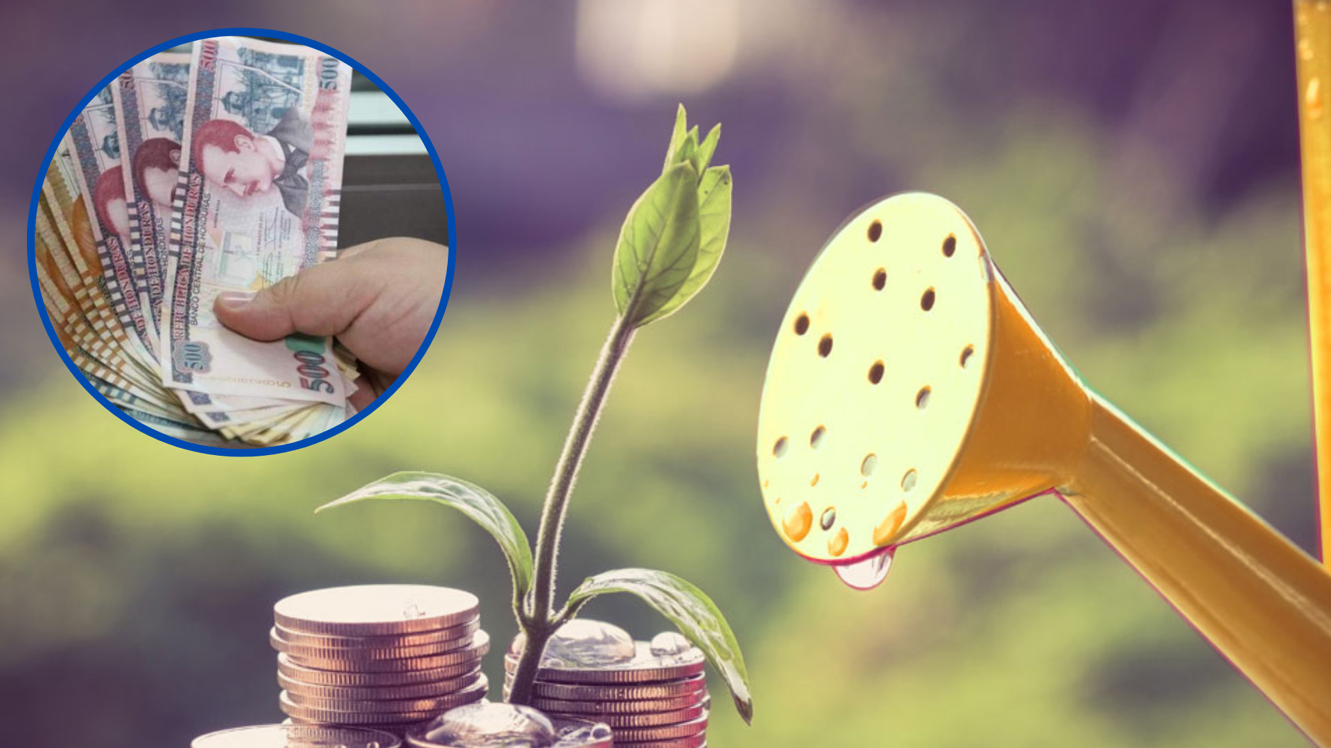 Incrementa tus ahorros aplicando estos cinco efectivos métodos