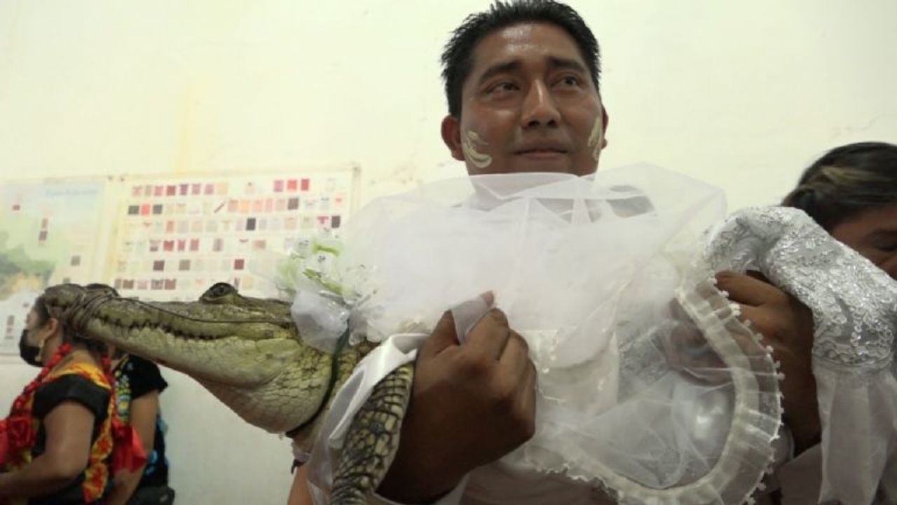 Alcalde se casó con una lagarta viva y selló su amor con un beso