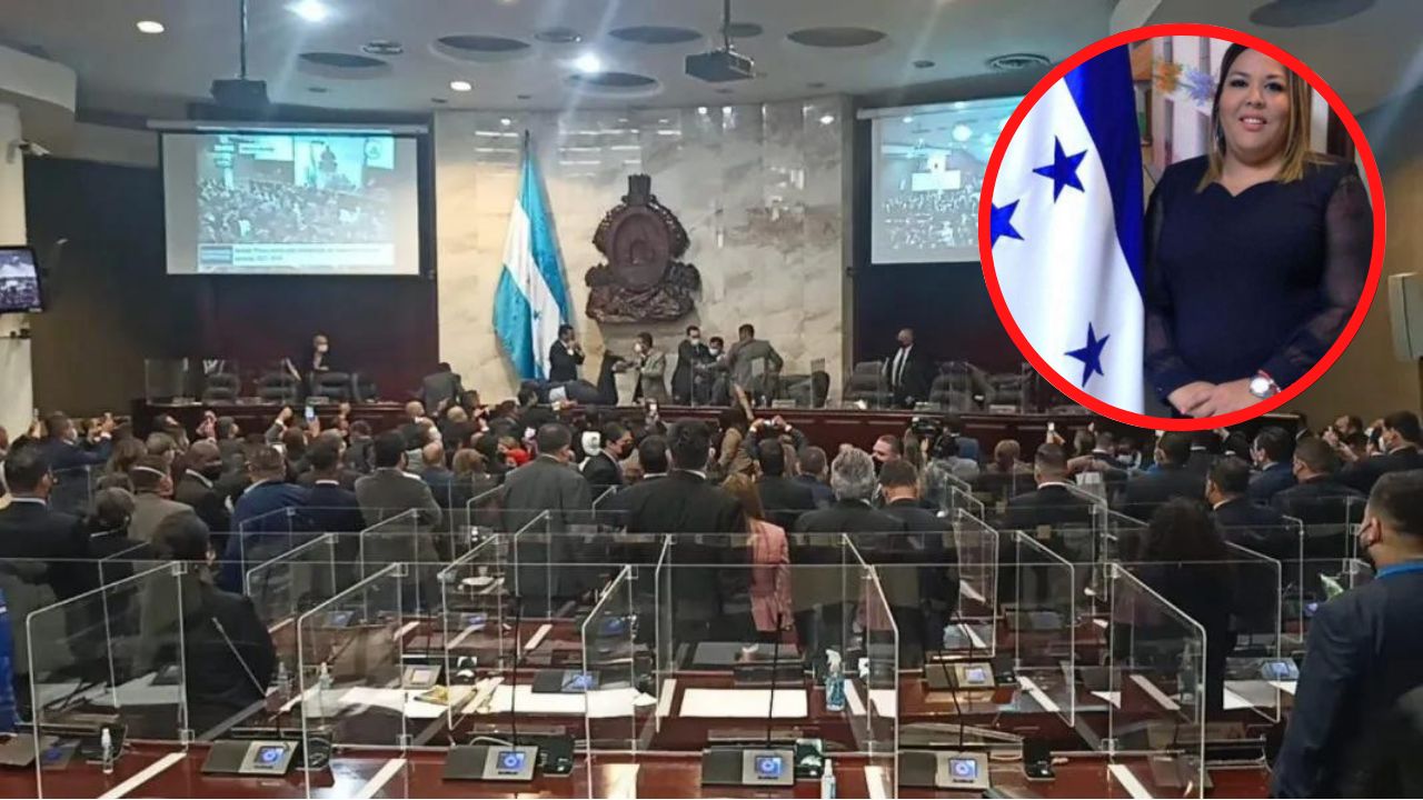 Polémica ha generado la sugerencia de repetir proceso de elección del Conadeh
