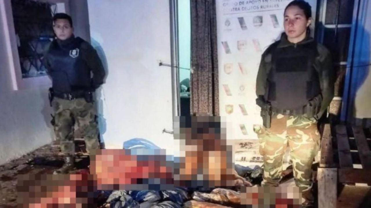 ¡Macabro!: En casa sacrificaban  caballos para vender su carne y usarla para hamburguesas