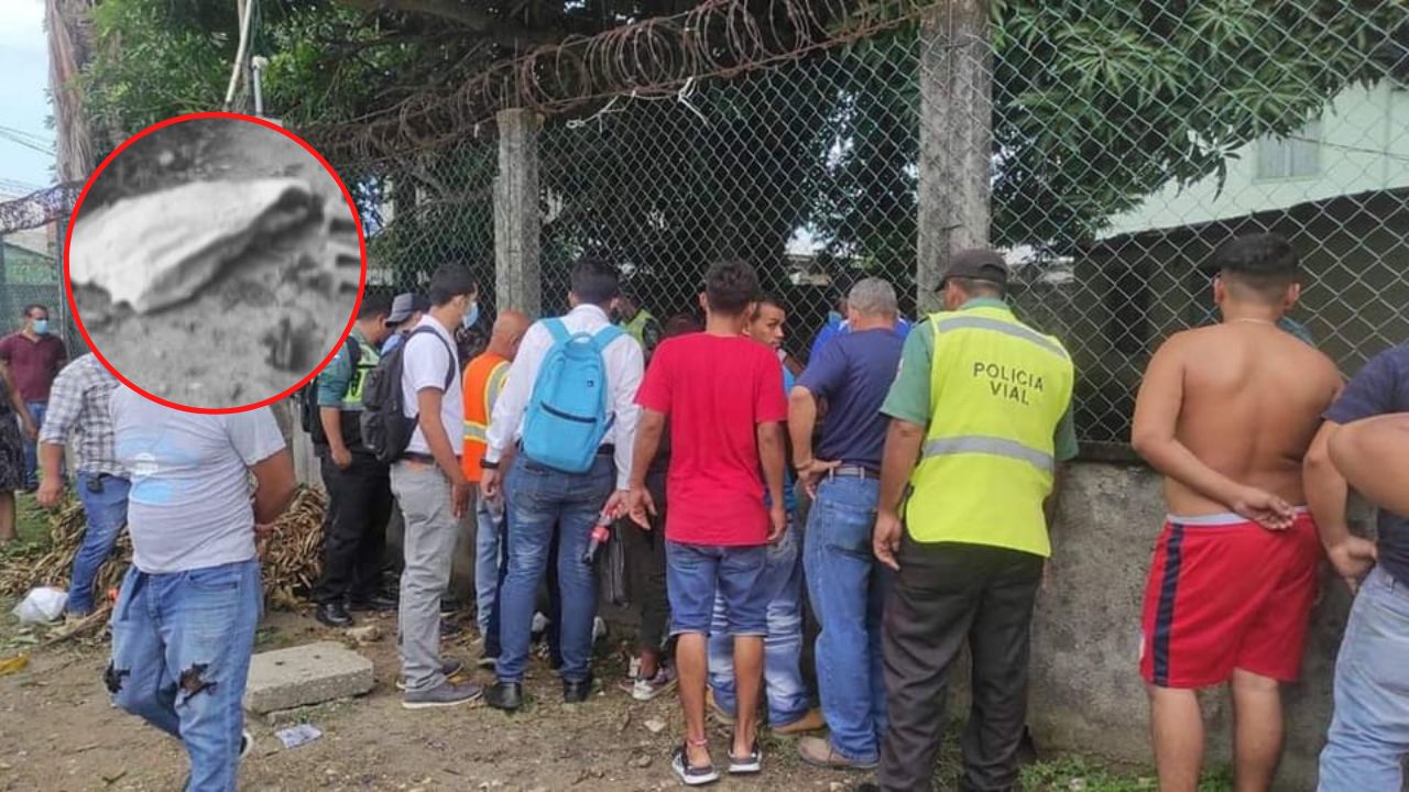 Hombre muere electrocutado mientras bajaba mangos en Puerto Cortés