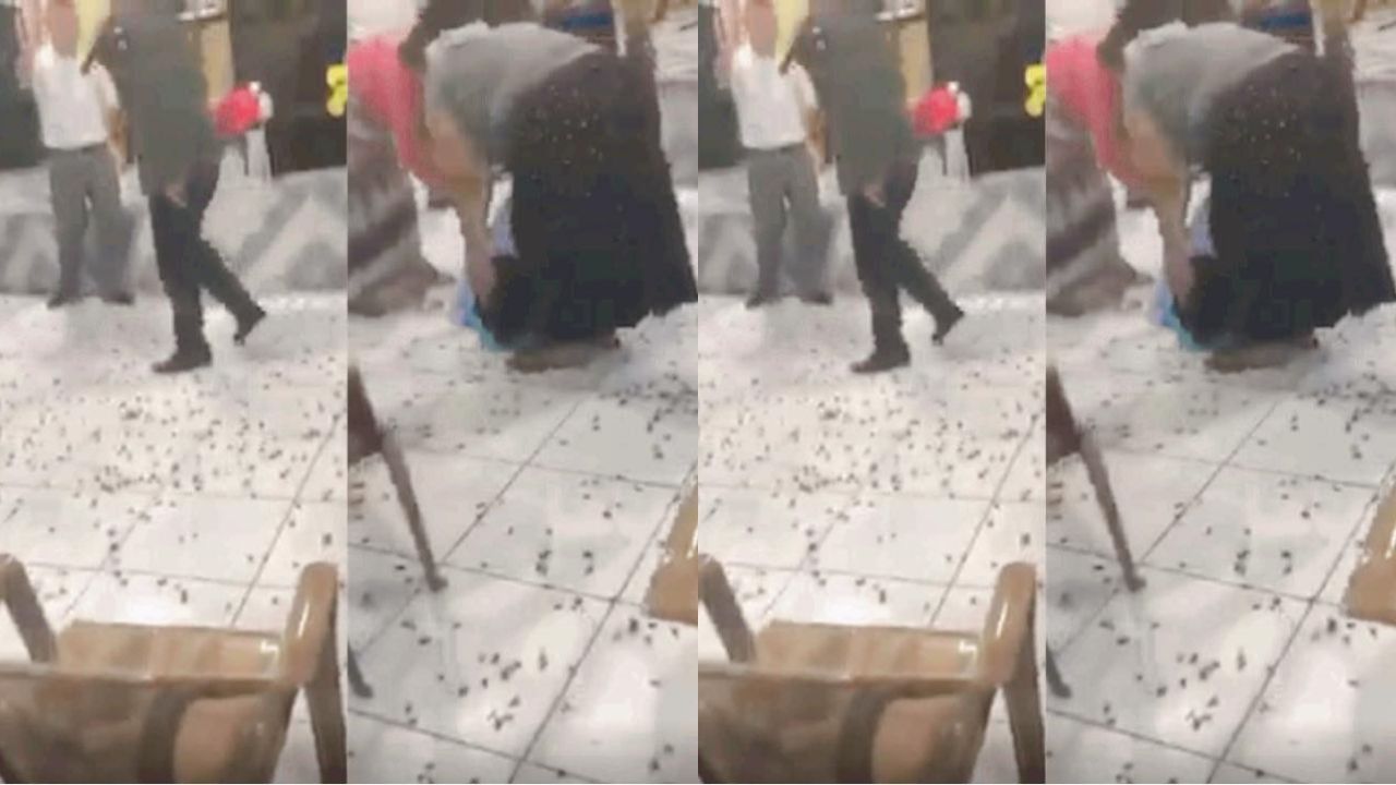 Video: insectos invaden iglesia durante vigilia en Yoro; pastor lo cataloga como 'brujería'