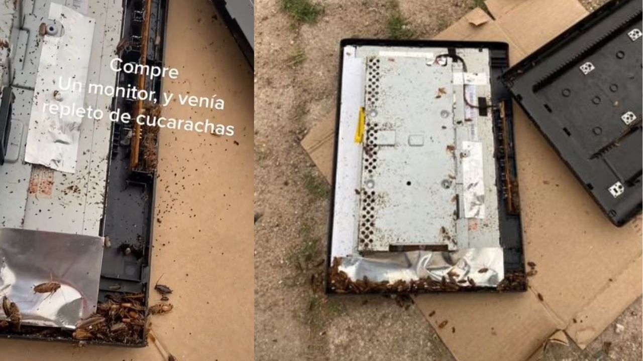 Video: Joven compra monitor en línea y no creerás lo asqueroso que encontró en su interior