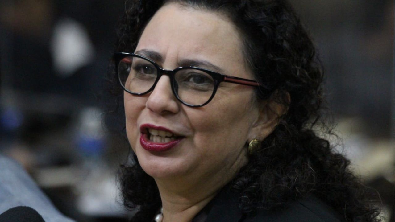 Diputada Ligia Ramos dice que instalación de una constituyente no es un tema prioritario