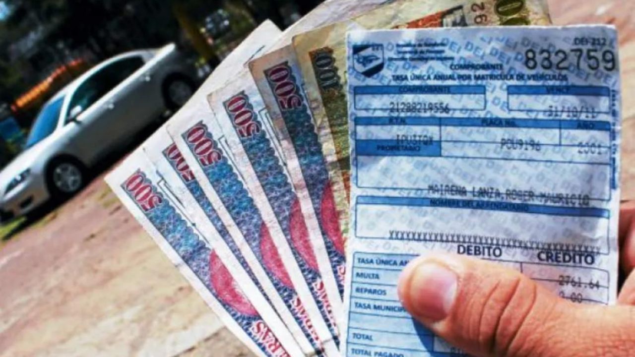 ¿Cuánto me toca pagar por la tasa vehicular?, aquí puede consultarlo