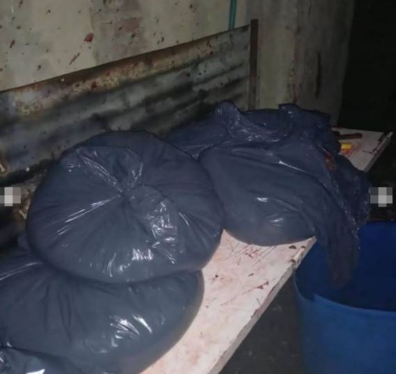 Imagen de cuerpo de nota