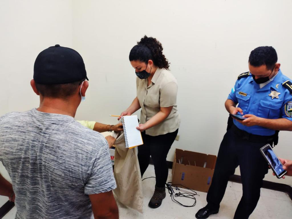 Imagen de cuerpo de nota