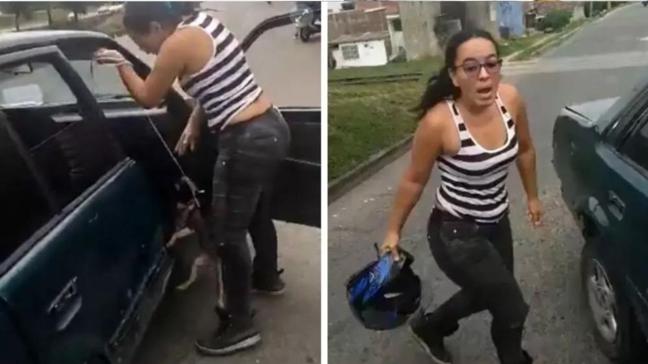 Enfurecida mujer agrede a otra por defender a perrito que era golpeado
