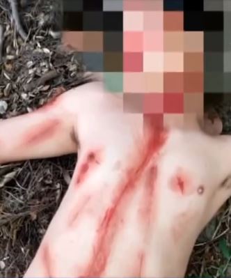 Imagen de cuerpo de nota