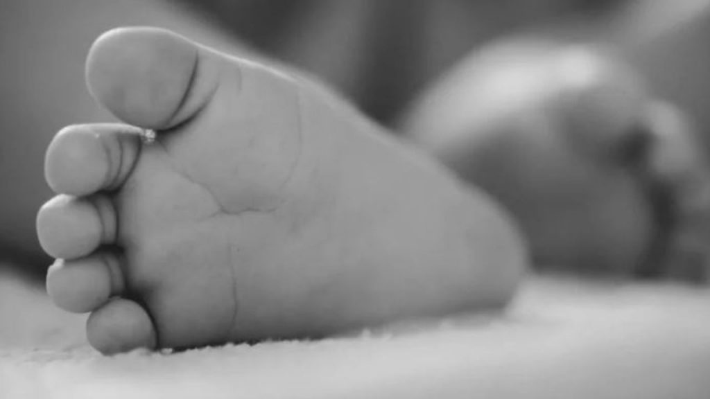 Imagen de cuerpo de nota