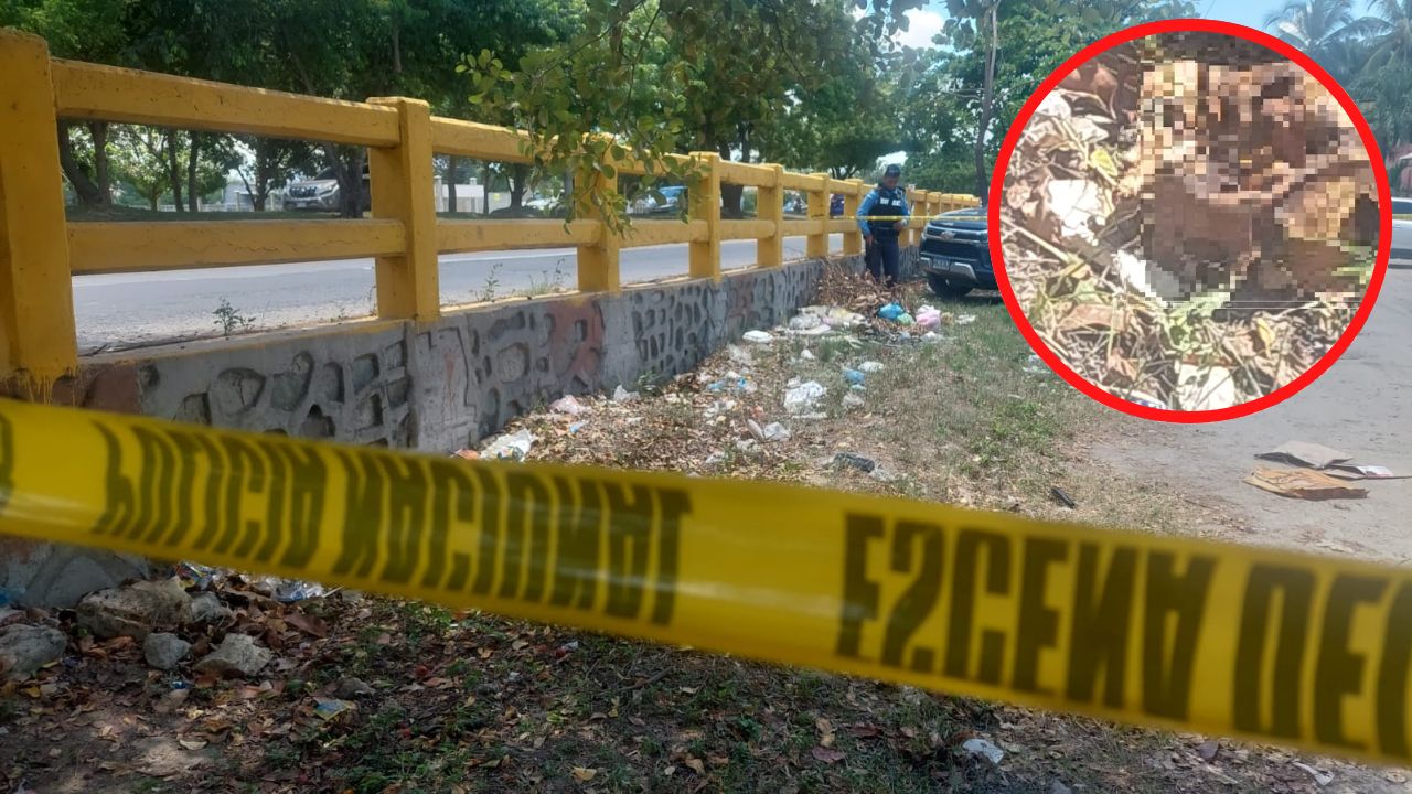 Encuentran cráneo humano a la orilla del bulevar del Este de San Pedro Sula
