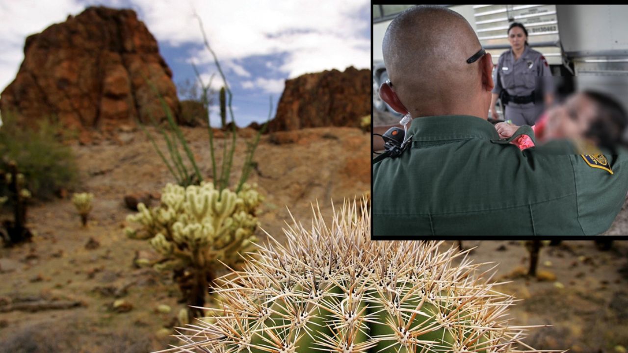 Dos bebés son abandonados por 'polleros' en el desierto entre Sonora y Arizona