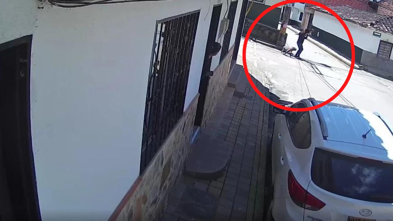 Vídeo capta a pitbull atacando a hombre que protegía a su perro