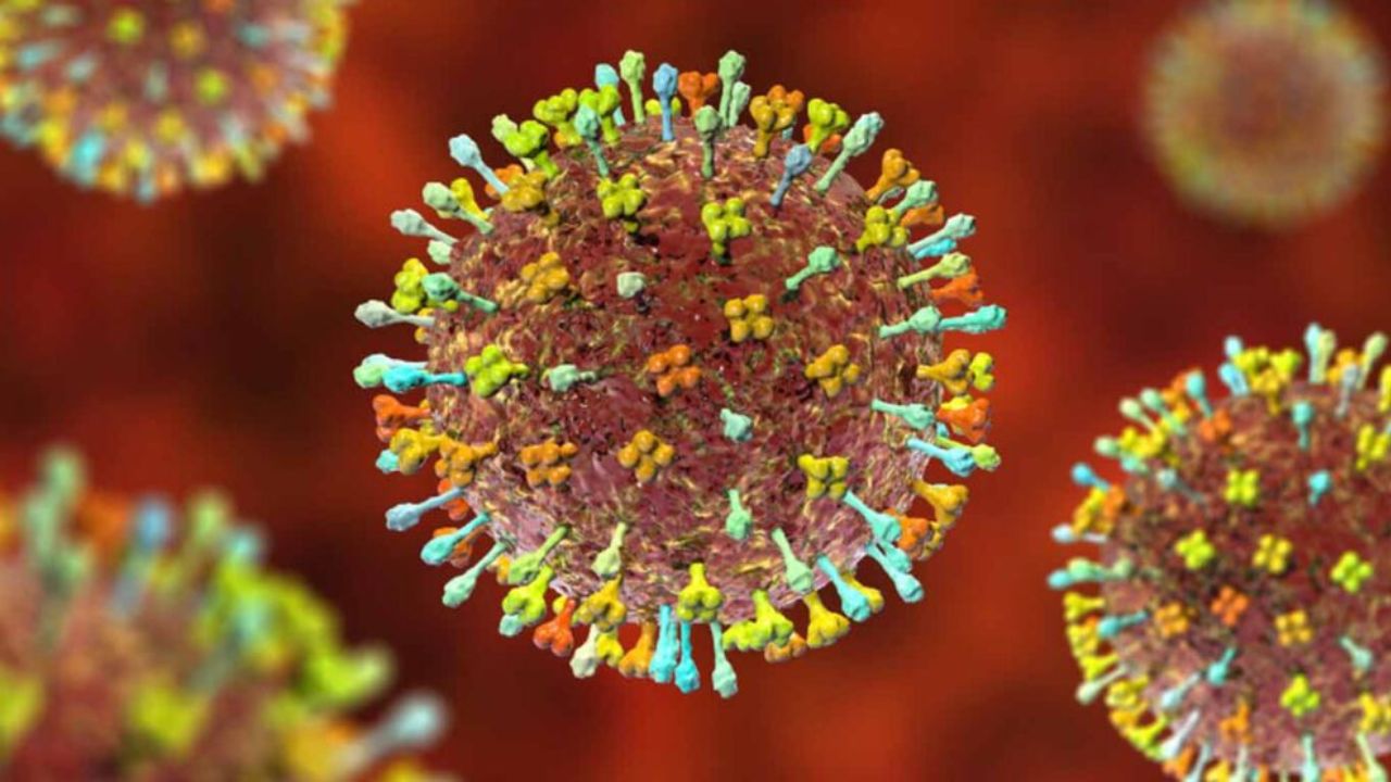 Cómo se transmite henipavirus, cuáles son sus síntomas: todo lo que debe saber del nuevo virus detectado en China