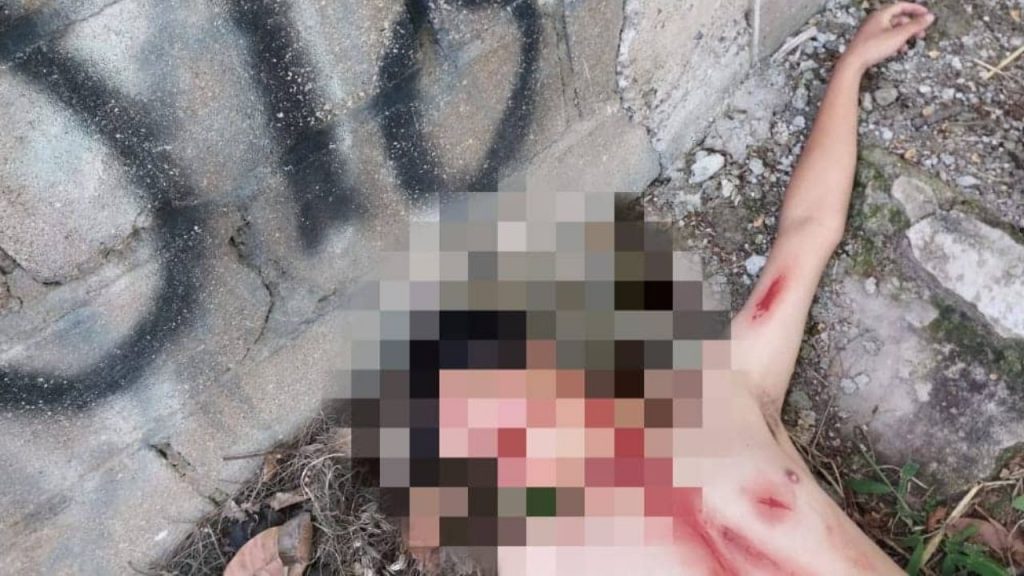 Imagen de cuerpo de nota