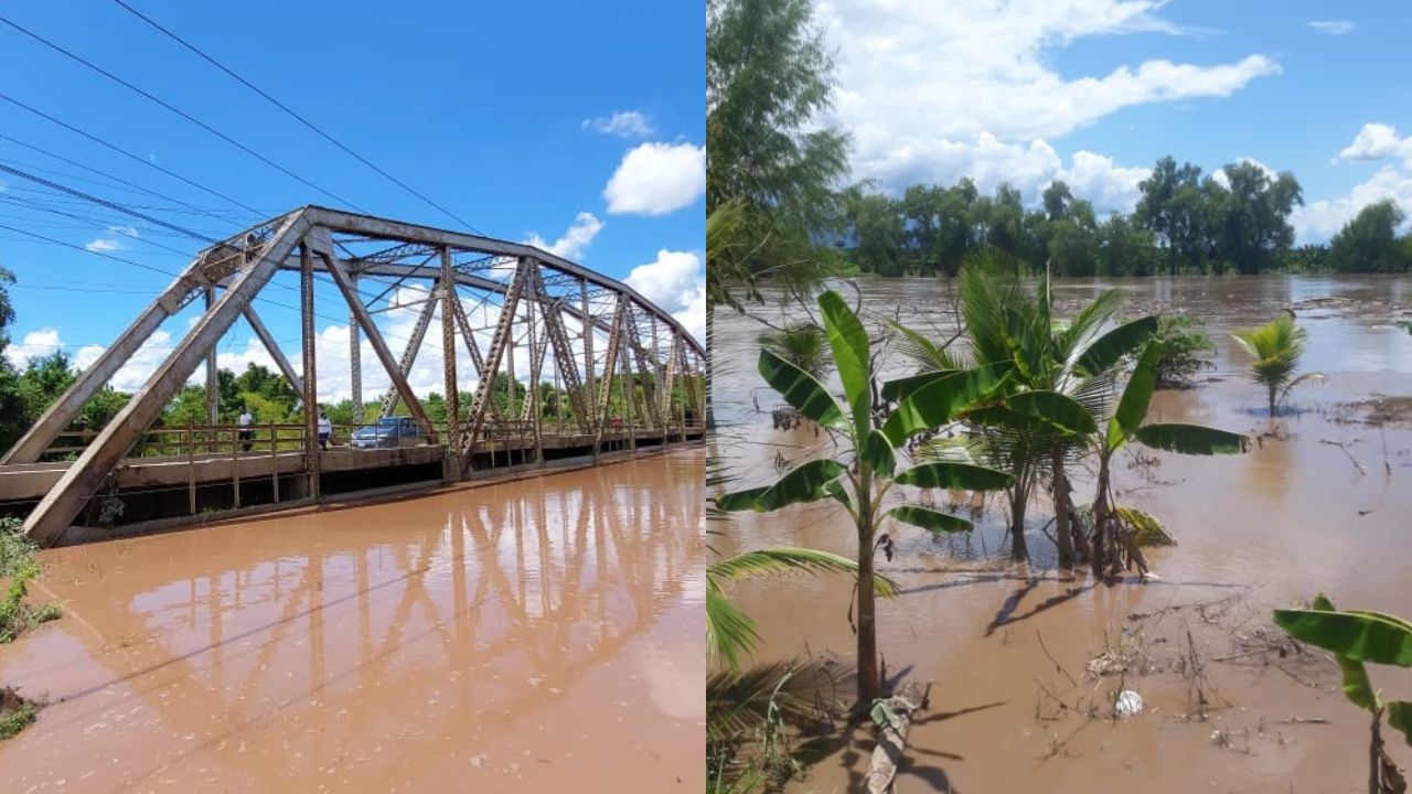 Imagen de cuerpo de nota