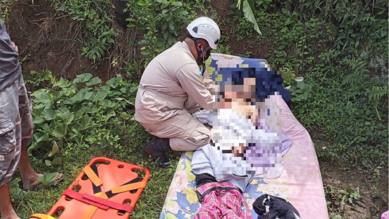Abejas matan a un anciano de 96 años en Santa Bárbara