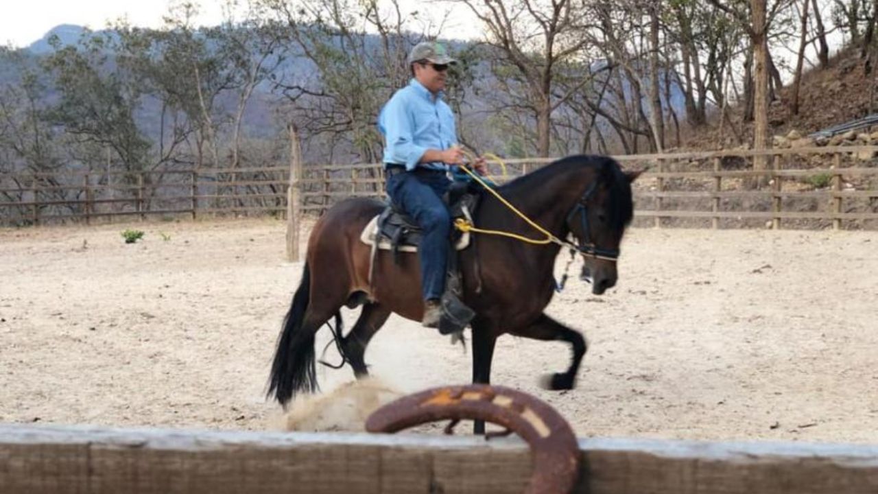 Abogado Salomón Amador a la OABI: ¿Por qué los caballos de JOH no se vendieron vía subasta pública?