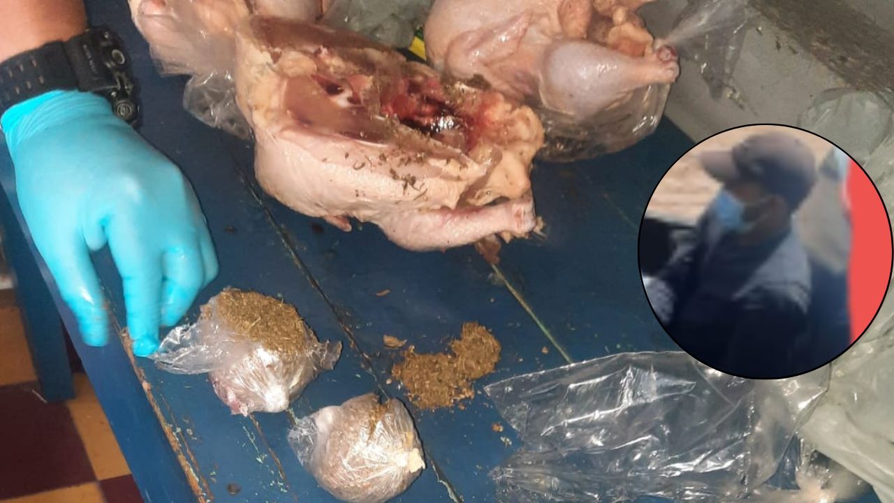 Hondureño quiso introducir marihuana en pollos congelados a cárcel de Juticalpa; así fue descubierto