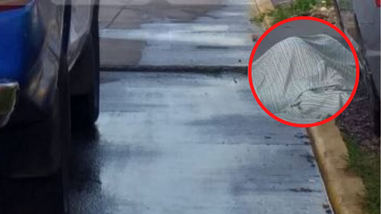 Matan a hondureña a golpes y a pedradas en la colonia Torocagua
