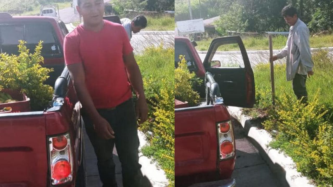 A esto fueron obligados tres  hondureños tras robar plantas en Copán; todo quedó en video