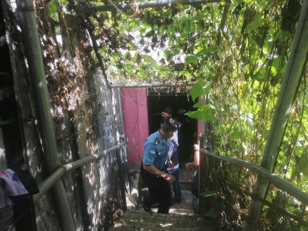 Imagen de cuerpo de nota