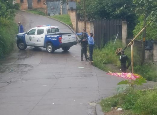 Imagen de cuerpo de nota