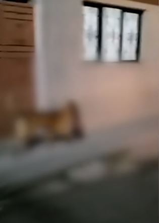 Imagen de cuerpo de nota