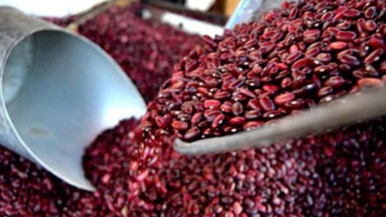 Por estas tres razones cada año se reduce el número de productores en Honduras