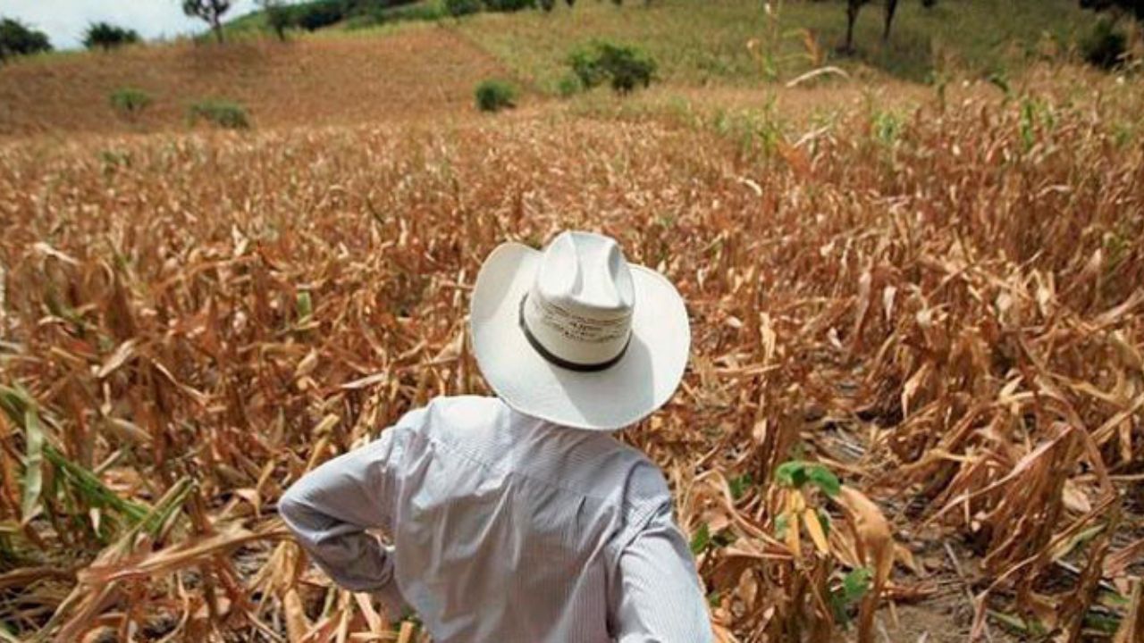 Editorial HRN: Injustificable e inaceptable inseguridad alimentaria