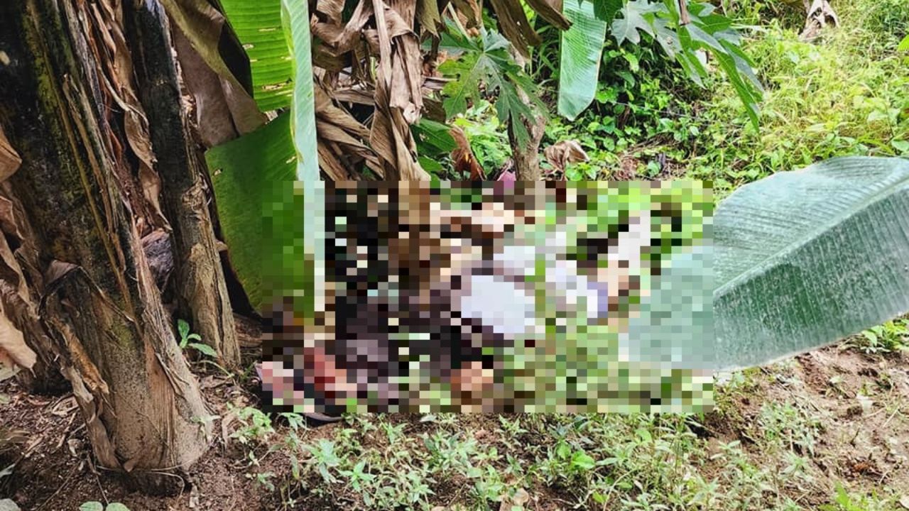 Pistoleros llegan a car wash y acribillan a cuatro hondureños en Patuca