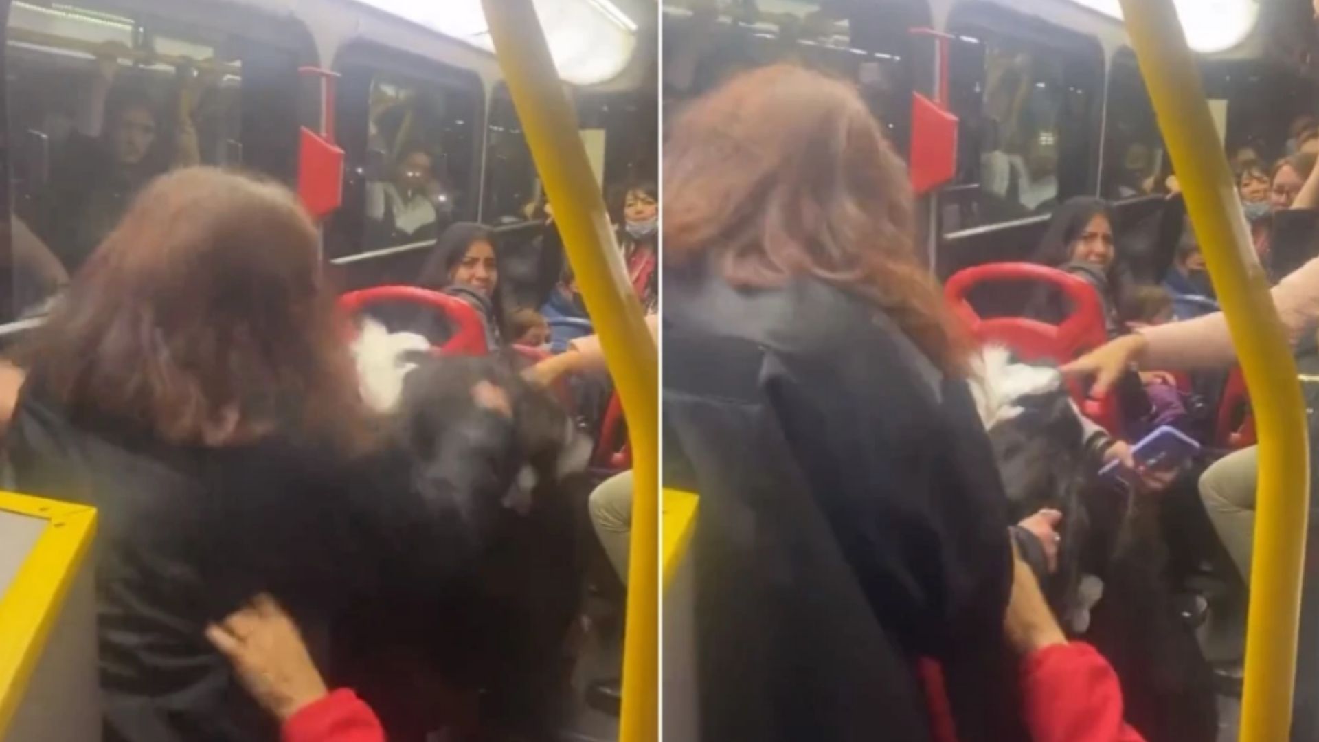 En video: del pelo se agarraron dos mujeres por una silla de un bus en Bogotá, Colombia