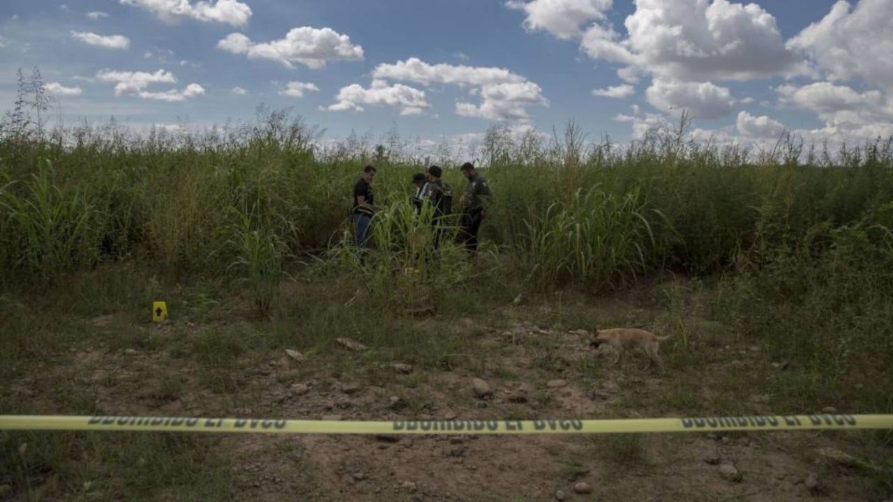 La cruel muerte del narcopolicía: estaba atado a un árbol y un alambre rodeaba su cuello
