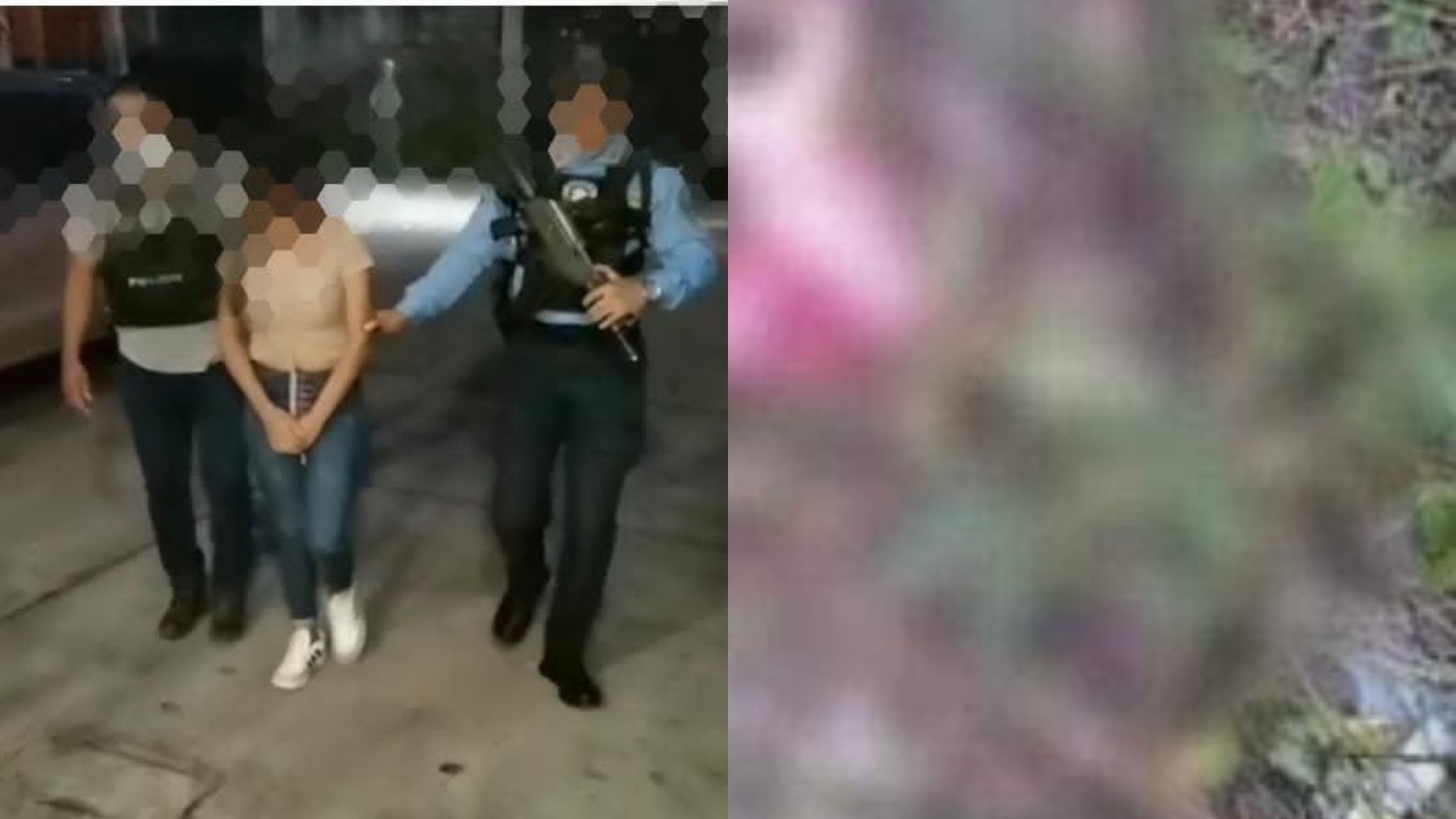 Bebé abandonada en un crematorio de Lepaera, Lempira, fue devorada por perros y aves de rapiña