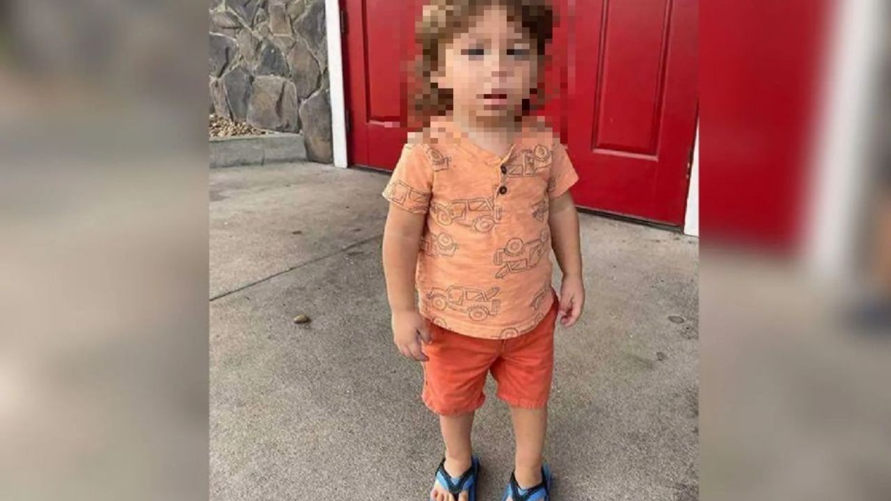 Misterio rodea la desaparición de niño de 20 meses cuando jugaba en un corralito