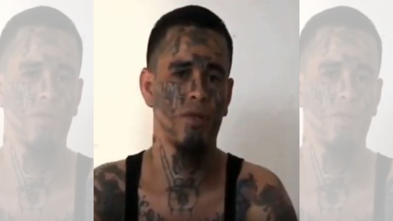 'No nos miren como perros': Supuesto pandillero implora piedad al presidente Bukele