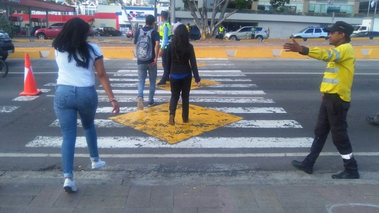 Esta es la multa para los conductores que irrespeten los pasos cebras en Honduras