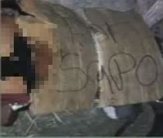 Imagen de cuerpo de nota