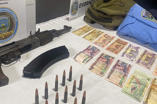 Imagen de cuerpo de nota