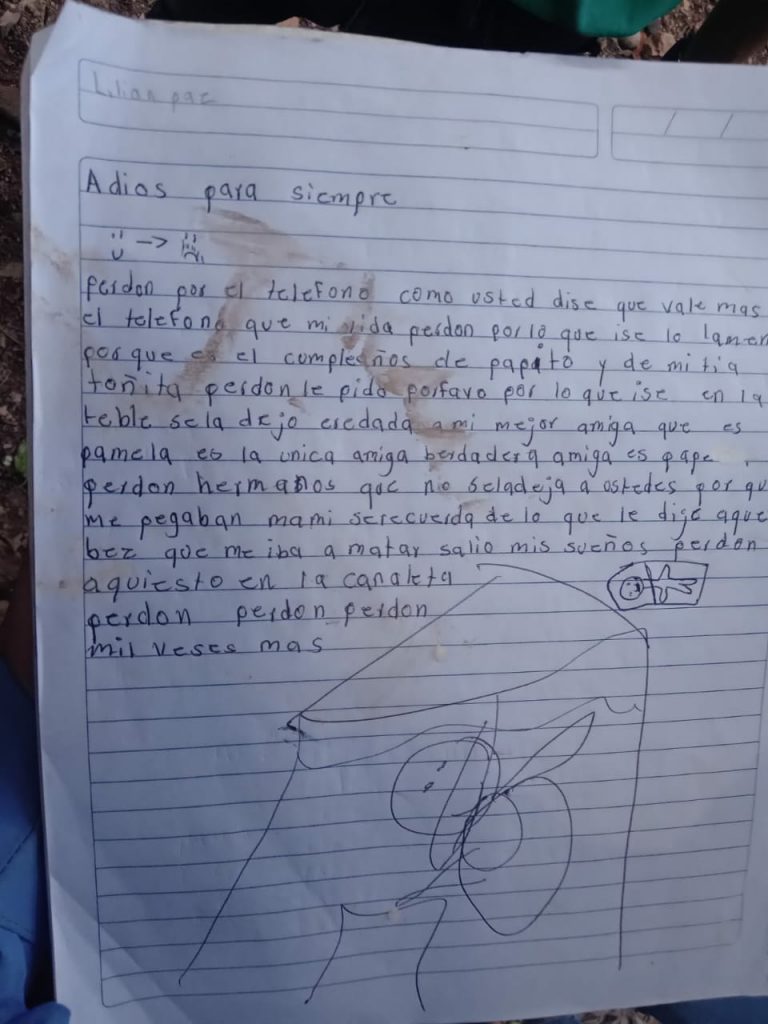 Imagen de cuerpo de nota