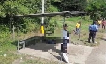 Imagen de cuerpo de nota