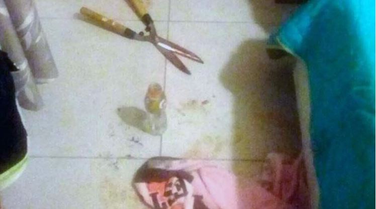 Imagen de cuerpo de nota