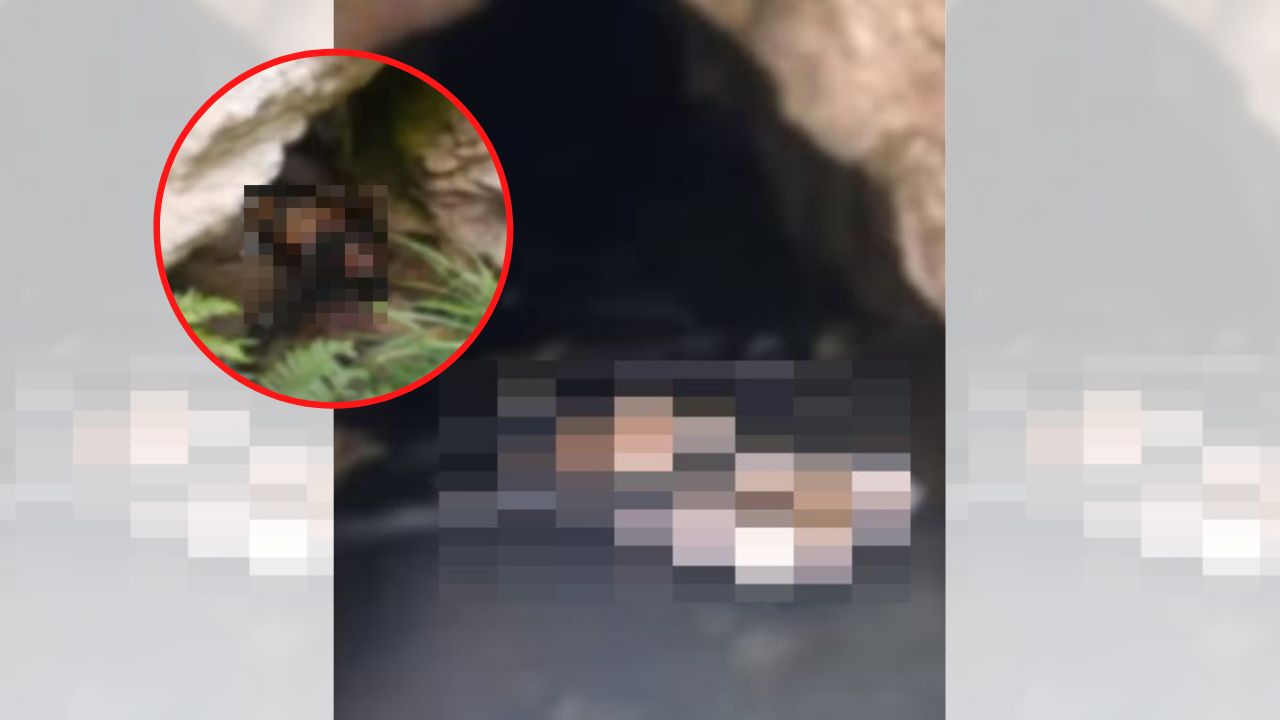 Varios cadáveres encuentran en cementerio clandestino en Tegucigalpa